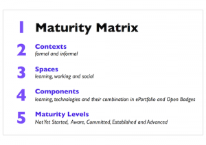Maturity Matrix Overview